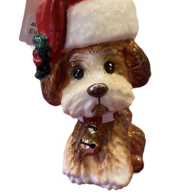 dog with santa hat