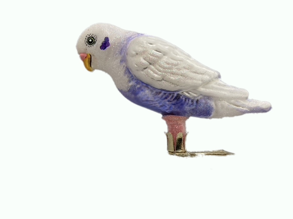 agapornis purple/white