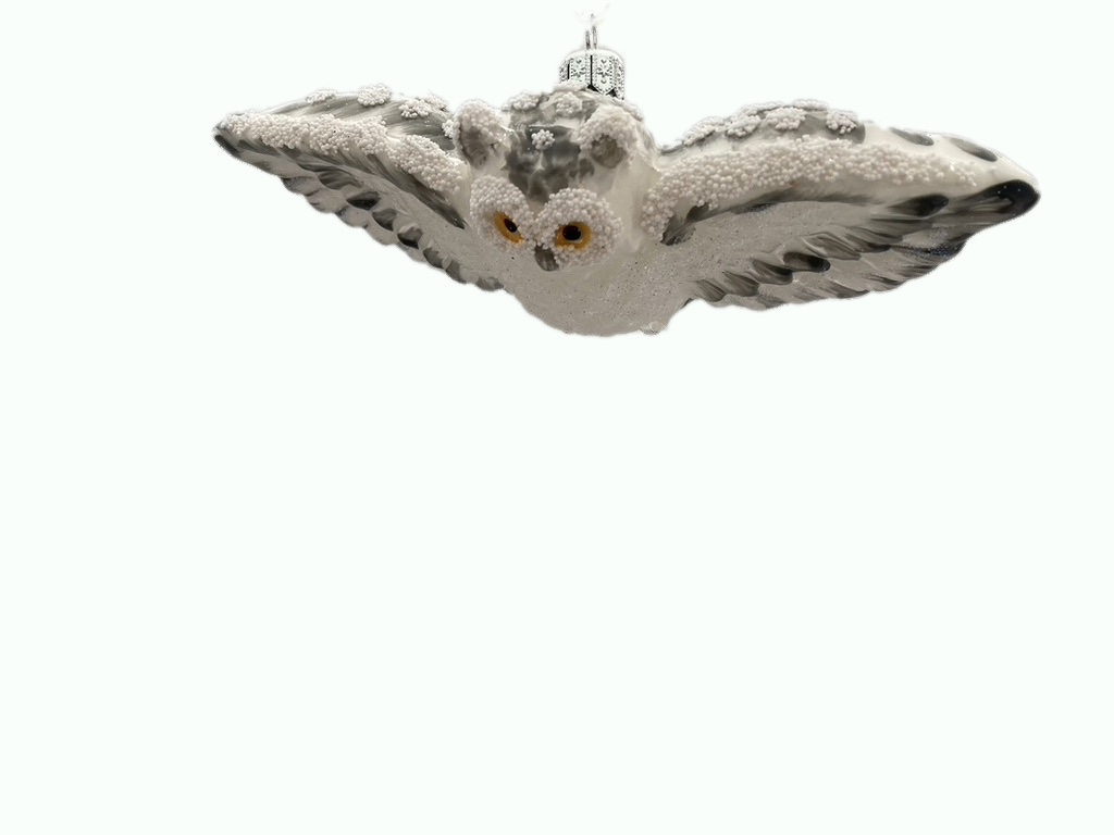 white owl open wings