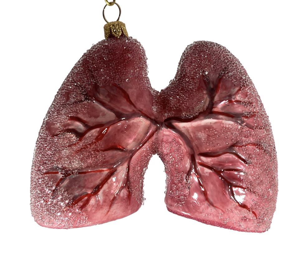 lungs health