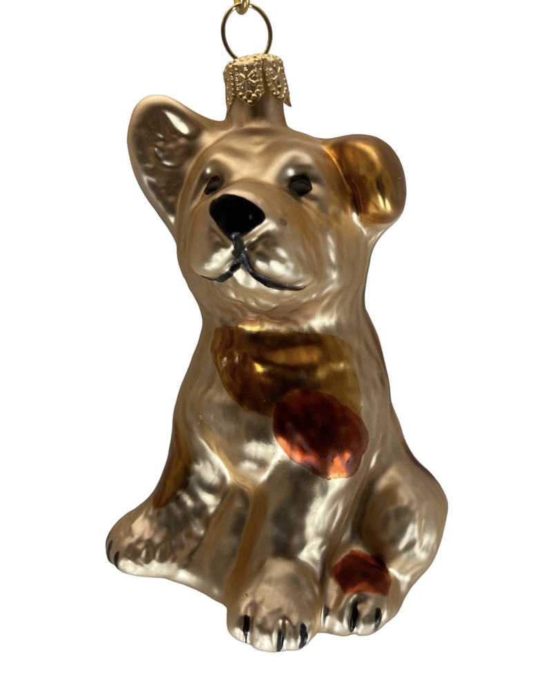 dog, hond, animal, dier, mans' best friend, freindship, love, compassion, , kerst, christmas, christmas decorations, glass ornaments, chritmastree, kerstboom, saint Nick, Santa claus, kris kringle, wiehnachten, wiehnachtsdecko, natal, navidad, perfectgift, presents for all,