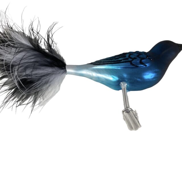 bird, vogel, animal, dier, feather, veer Christmas, kerst, christmasdecorations, kerstversiering, kerstman, santa, sled, christmasatmosphere, kerstsfeer, kerstdecoratie, glassornaments, saint nick, kris Kringle, winterwonderland, wiehnachtsdeko, weihnachtskügel, natal, navidad, decorationdenoël, father christmas, xmastoys,