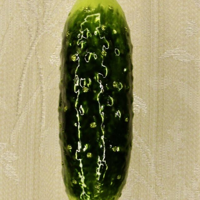 augurk, gherkin, vegetable, groenten, fruit, nature, natuur, christmas, kerst, christmasdecoration, kerstversiering, kerstboom, christmastree, xmas, xmasinspo, christmasinspiration, kerstsfeeer, kerstinspiratie. fun, lol