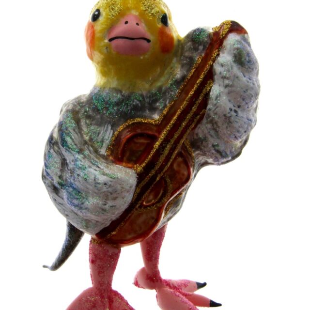 chicken plays guitar, kip speelt gitaar, gitaar, guitar, music, muziek, instrument, animalfun, dierenplezier, animal, dier, , power to the people, artic live, het leven op de polen, nature, natuur, christmas, kerst, christmas decoration, kerstversiering, kerstboom, christmastree, diversitiy rules, morawski,alaska, northpole,