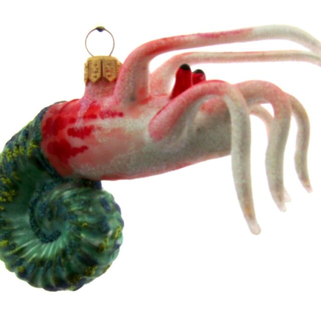 shrimp, garnaal, sealife, zeeleven, dier, animal, food , eten , morawski, fairy fantasy, , christmas, kerst, christmasdecoration, kerstversiering, kerstboom, christmastree, xmas, xmasinspo, christmasinspiration, kerstsfeeer, kerstinspiratie. fun, lol