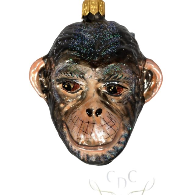 chimpansee, monkey, aap, afrika, africa, wildlife, wilddier, animal, dier, power to the people, artic live, het leven op de polen, nature, natuur, christmas, kerst, christmas decoration, kerstversiering, kerstboom, christmastree, diversitiy rules, morawski,