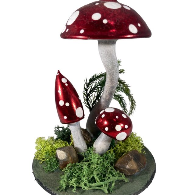 table decor, tafeldecoratie, birds at bassin, vogels aan waterbakje, drinkend vogels birds, mushroom, glass ornaments, glazen kerstbal , , dieren, animals, forest, bosbeheer, mushroom, paddestoel, kerst, christmas, christmasdecorations, kerstversiering, kerstboom, christmastree, cartoon, tekenfilm