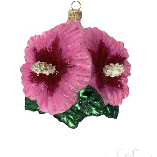 Santa Claus, kerstman,hibiscus, bloem flower, plantlife, plantenleven, kerstboom, christmas tree, glass ornament, holiday season, christmastoys, producenten van zuurstof, we eat C02