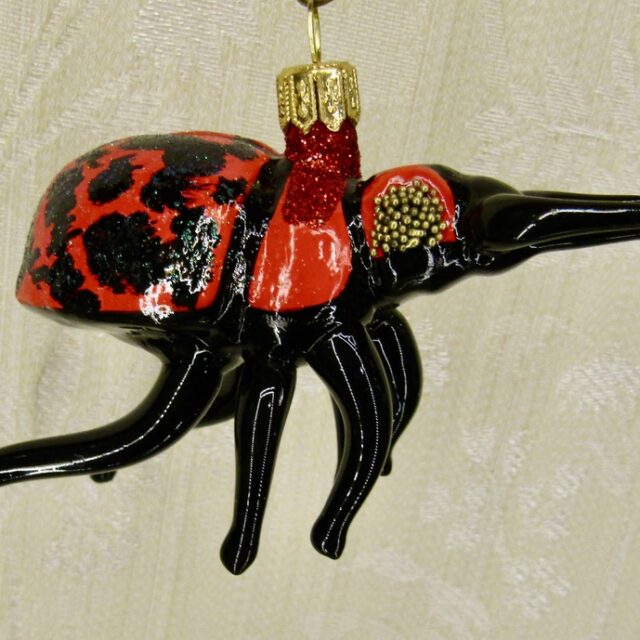 insect, insekt, bug, kever, beetle, animal, dier, nature, natuur, endangered species, christmas, kerst, christmastree, kerstboom, santaclaus, holiday season, chirrtmasdecoration, kerstversiering, glassornament,