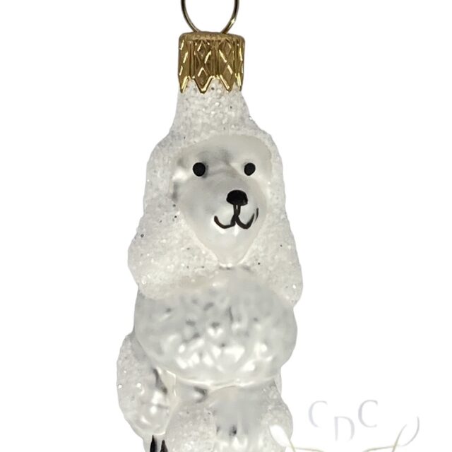 santa claus, christmas dog, poodle, animal, hond, poedel, dier, man best friend, de beste vriend van de mens, instant love, kerst, christmasdecoration, kerstversiering, kerstboom,christmastree, chirsmtas is coming, k