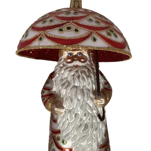 santa claus, christmas , man best friend, de beste vriend van de mens, instant love, kerst, christmasdecoration, kerstversiering, kerstboom,christmastree, christmaas is coming,santa under umbrella, kerstman onder paraplu, singing in de rain, zingend in de regen, david strand, , toy, speelgoed, gift, geschenk